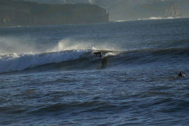casso and dan paddle boarding