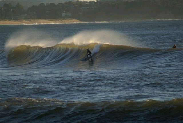 casso and dan paddle boarding