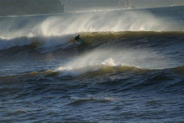 casso and dan paddle boarding