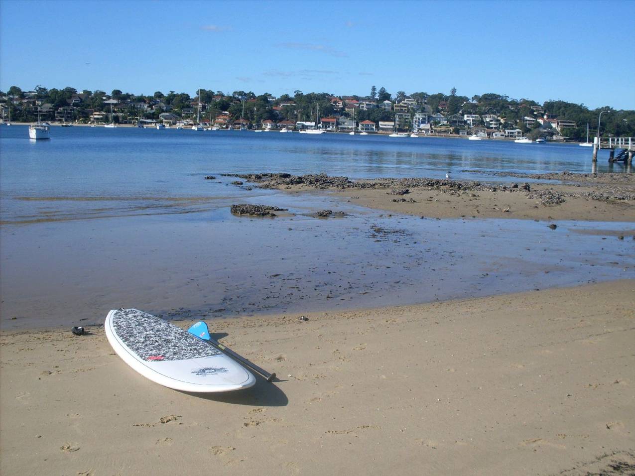 Simon & C4 11th June