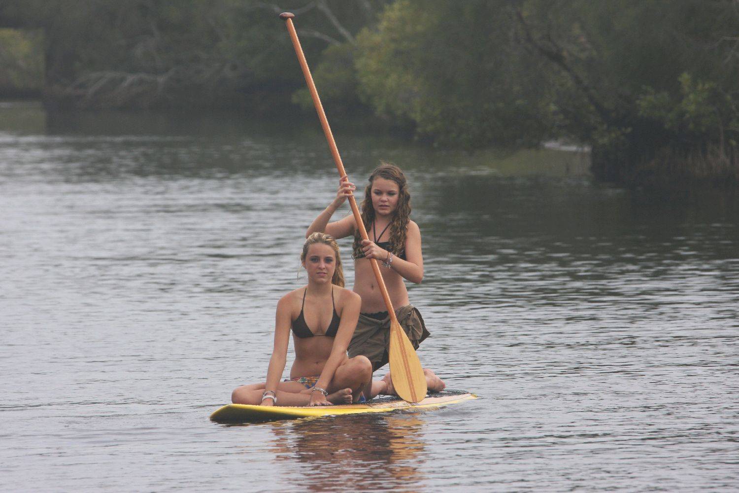 wategos..... sups and dolphins....