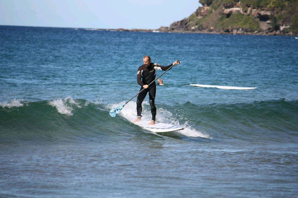 Fanatic boards, PAlmy