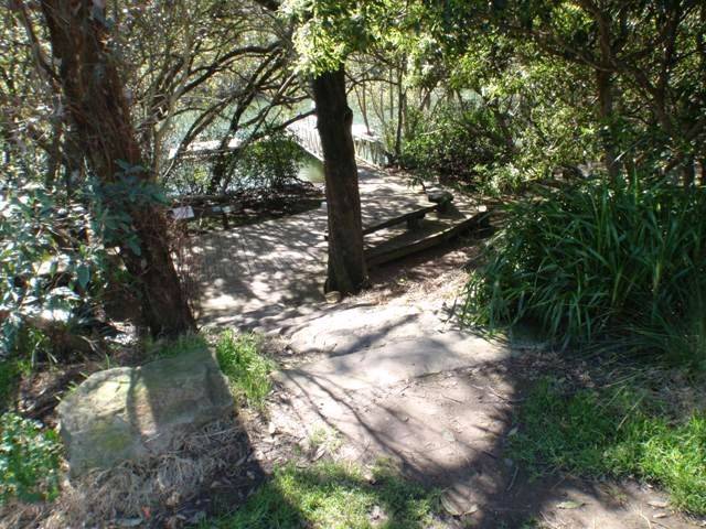 Lane Cove River 5