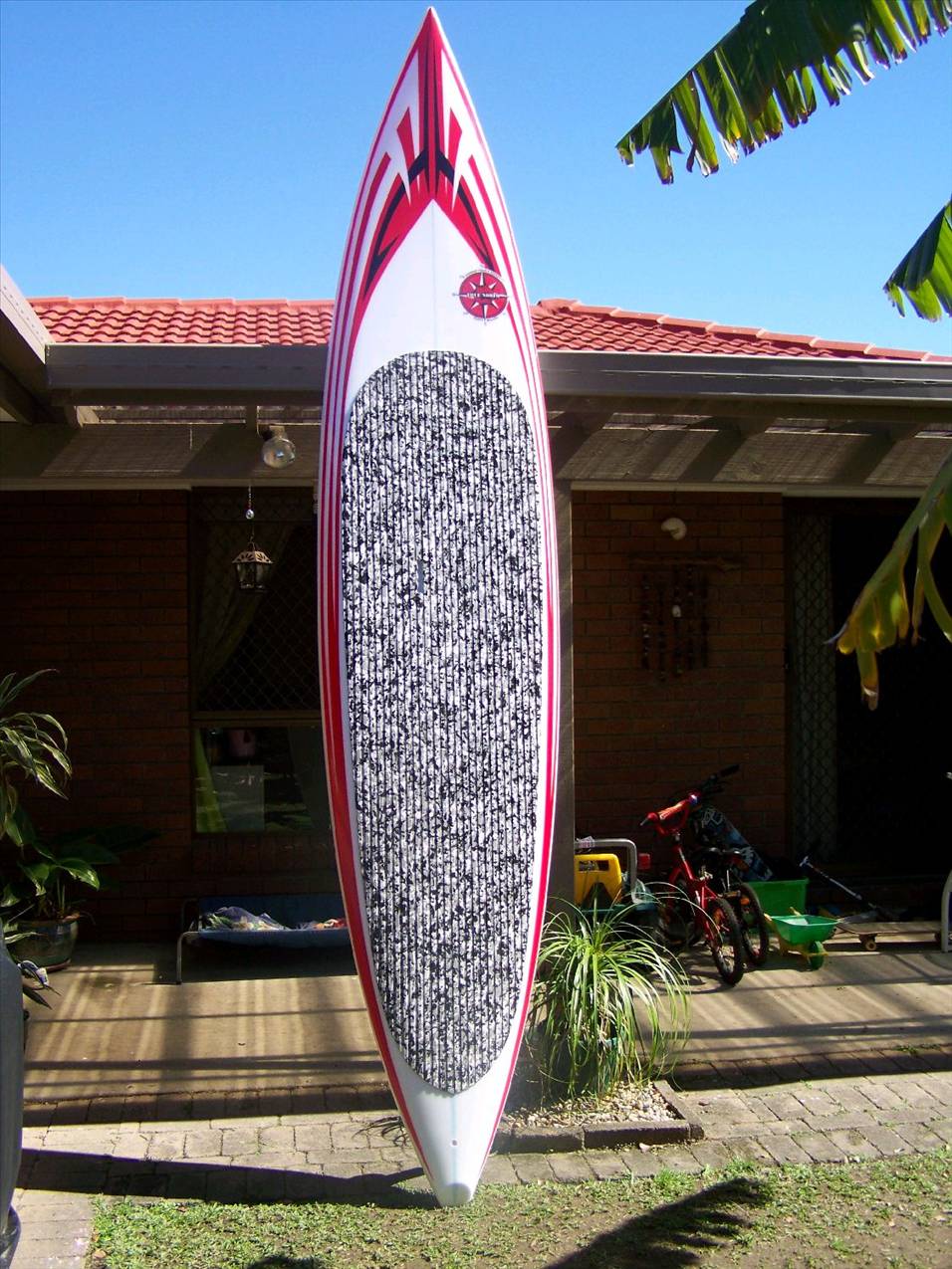 true north flyingfish