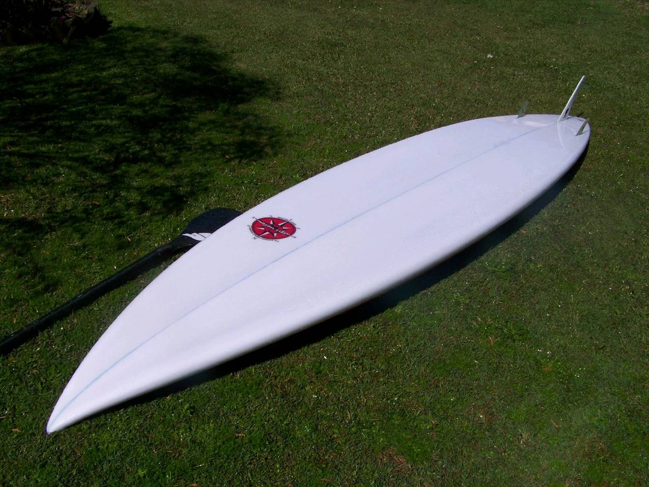 true north flyingfish