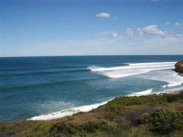 WINTER BELLS 012 (Small)