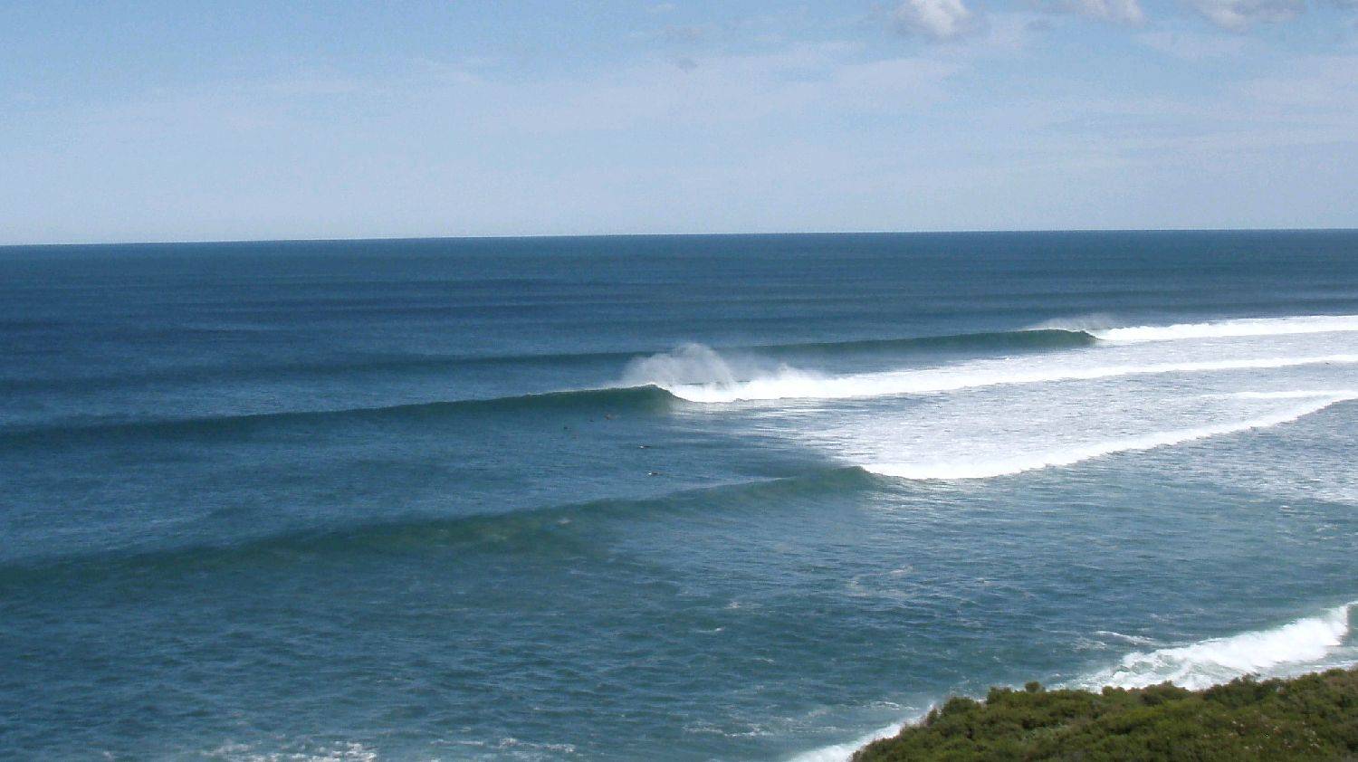 WINTER BELLS 012 (4)