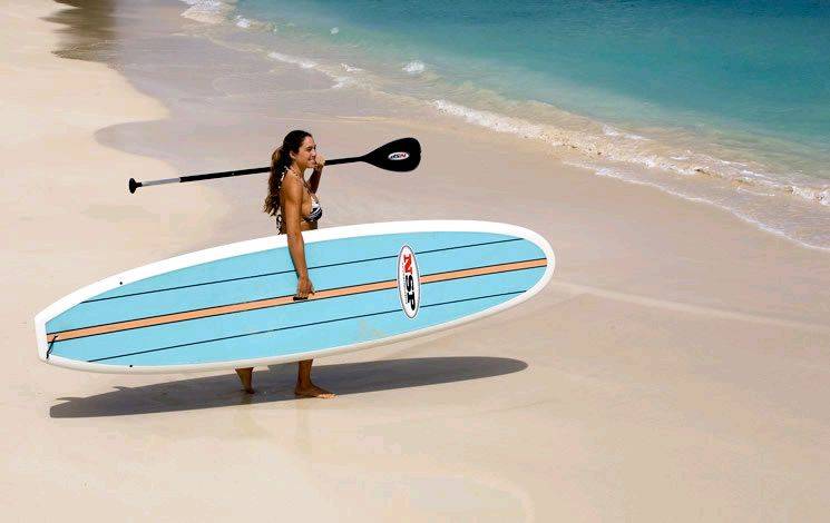 sup overview image 2[1]