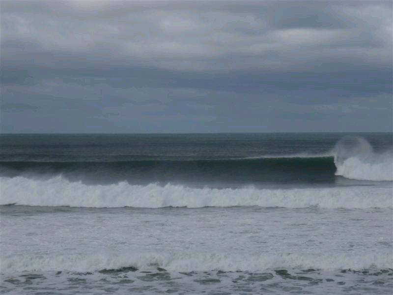 BIG BELLS 069 (Medium)