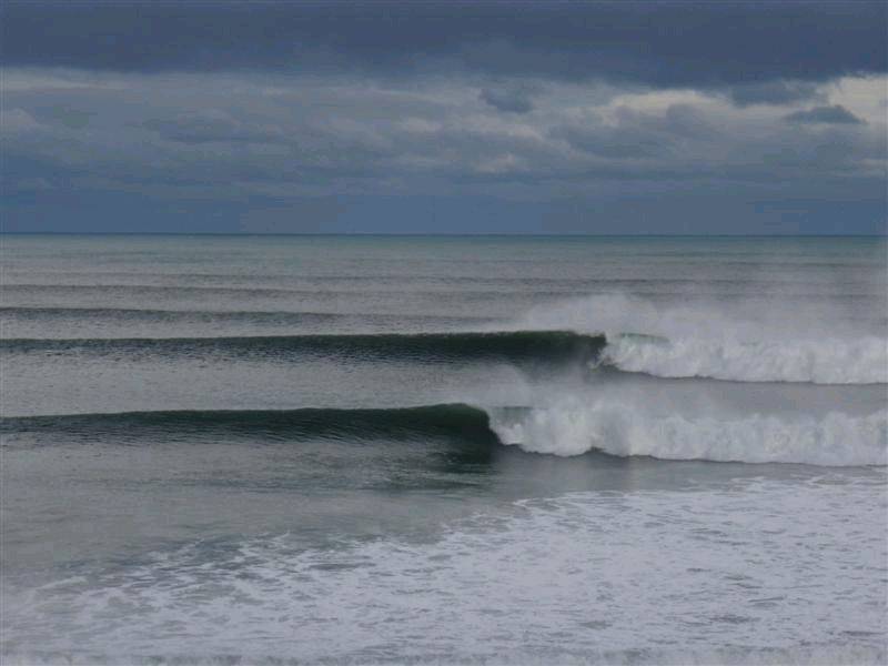 BIG BELLS 109 (Medium)