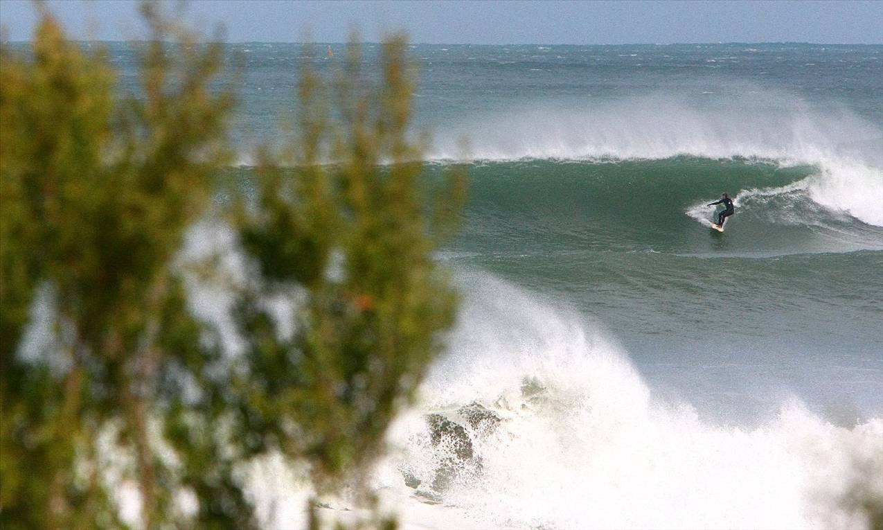 winter in victoria  max temp 11 degrees