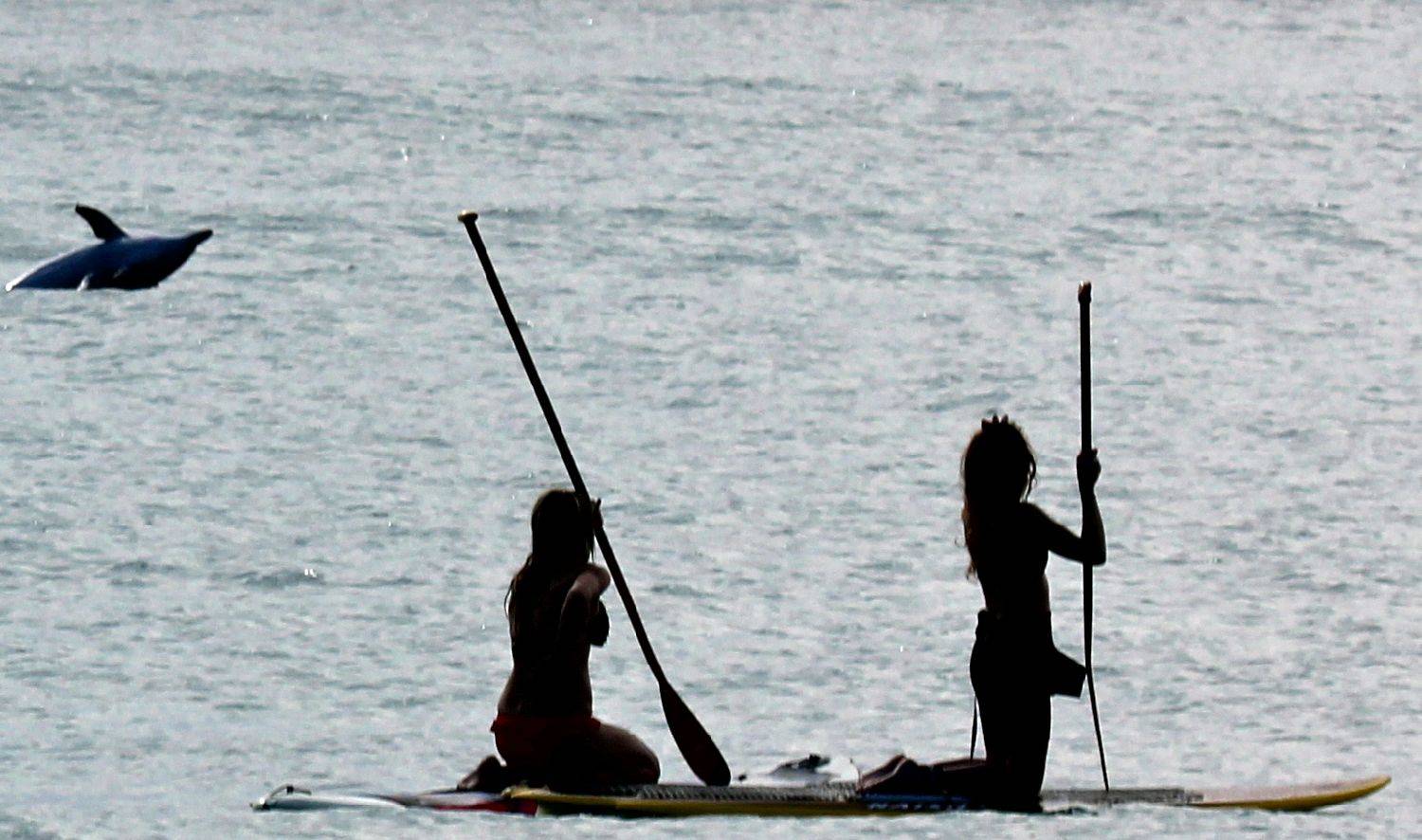 cruisin with dolphins......