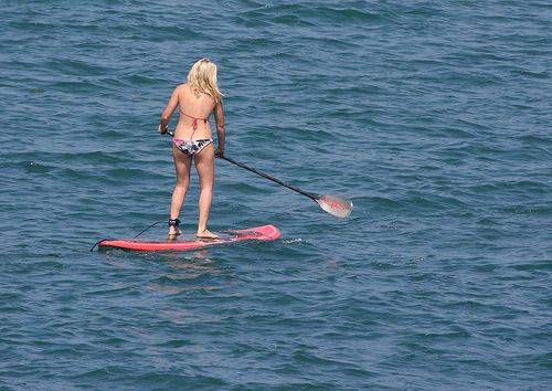 3935976426 2fbf1f0751