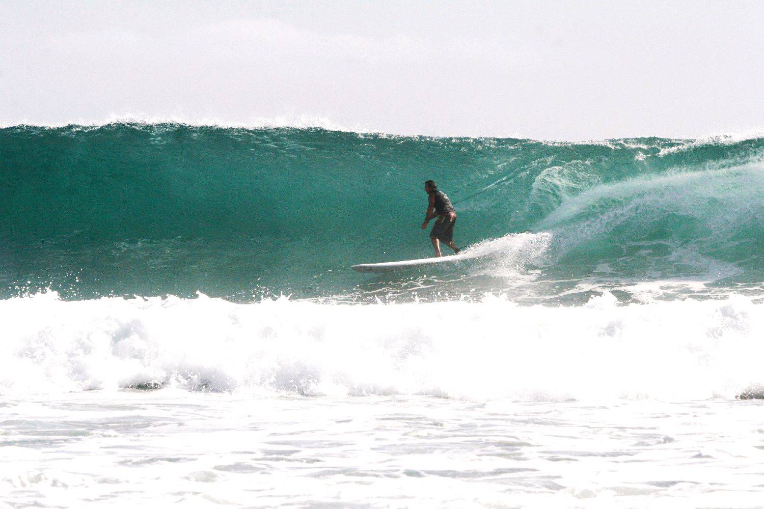 Danny Sheard (pic by Sue Sheard)