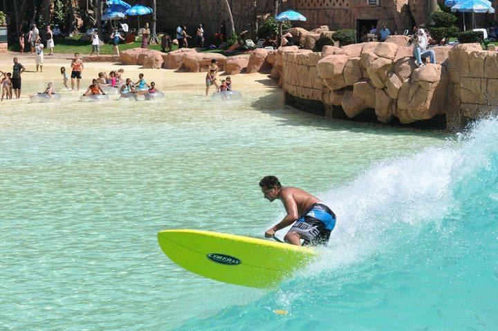 58720 480539453032 316452203032 6673486 7190942 n