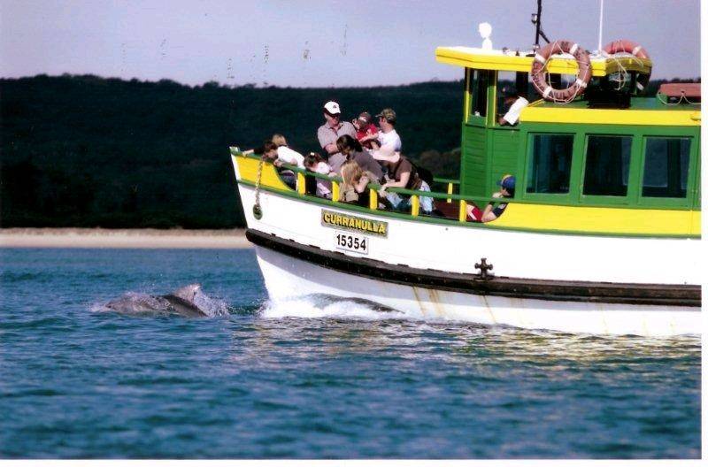 Curra%20with%20dolphins