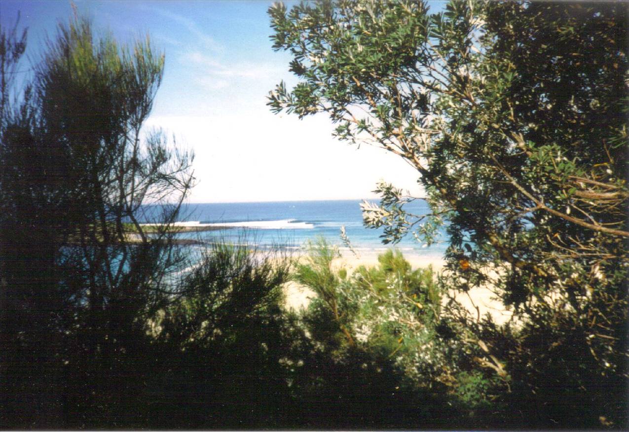 10-20-2010 02;19;06PM