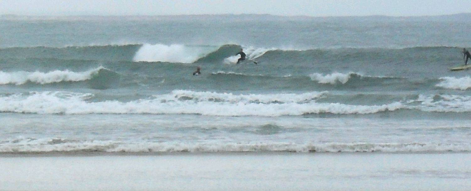 cosy cnr T sunday 14.11 10 016