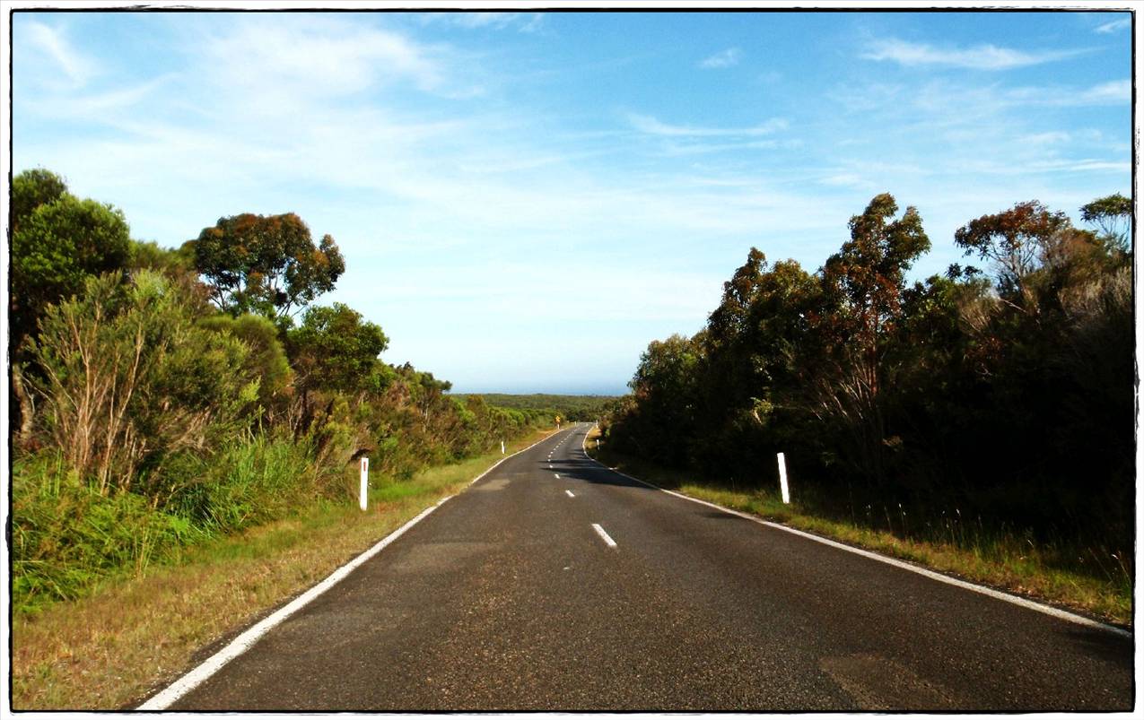 Wattamolla Royal National Park 8th December 2010 001