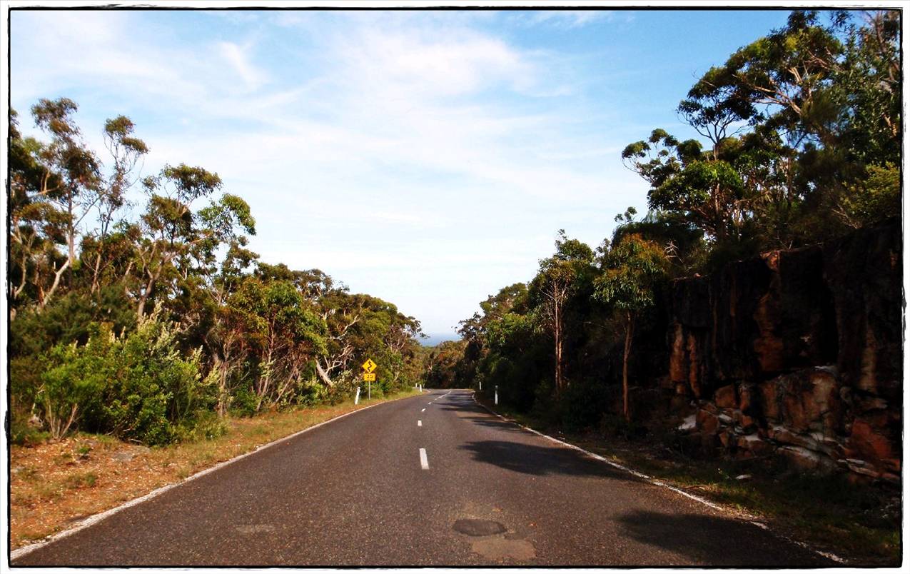 Wattamolla Royal National Park 8th December 2010 002