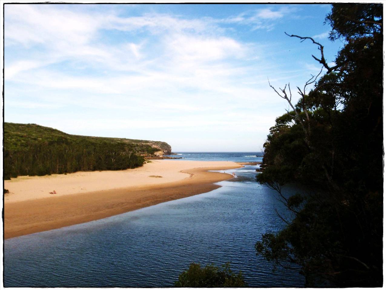 Wattamolla Royal National Park 8th December 2010 003