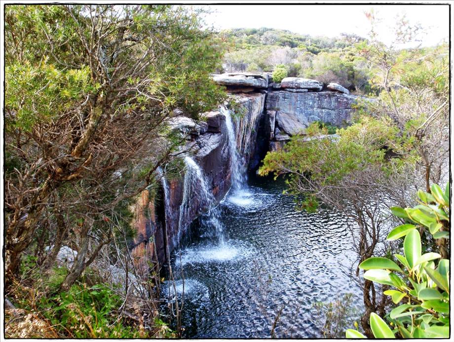 Wattamolla Royal National Park 8th December 2010 005