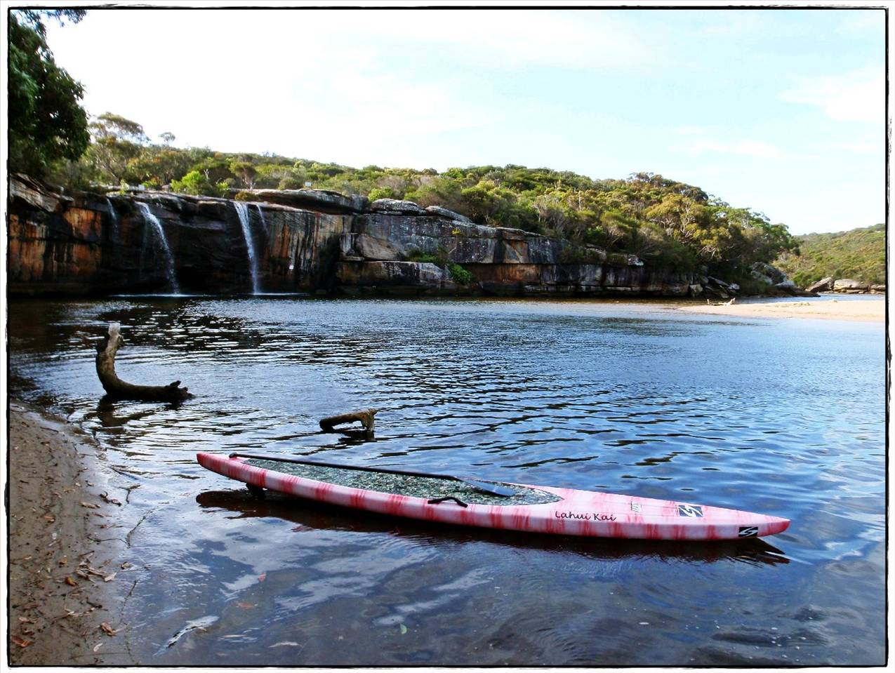 Wattamolla Royal National Park 8th December 2010 007