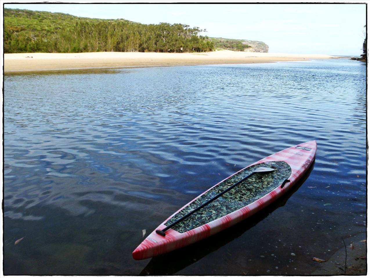 Wattamolla Royal National Park 8th December 2010 008