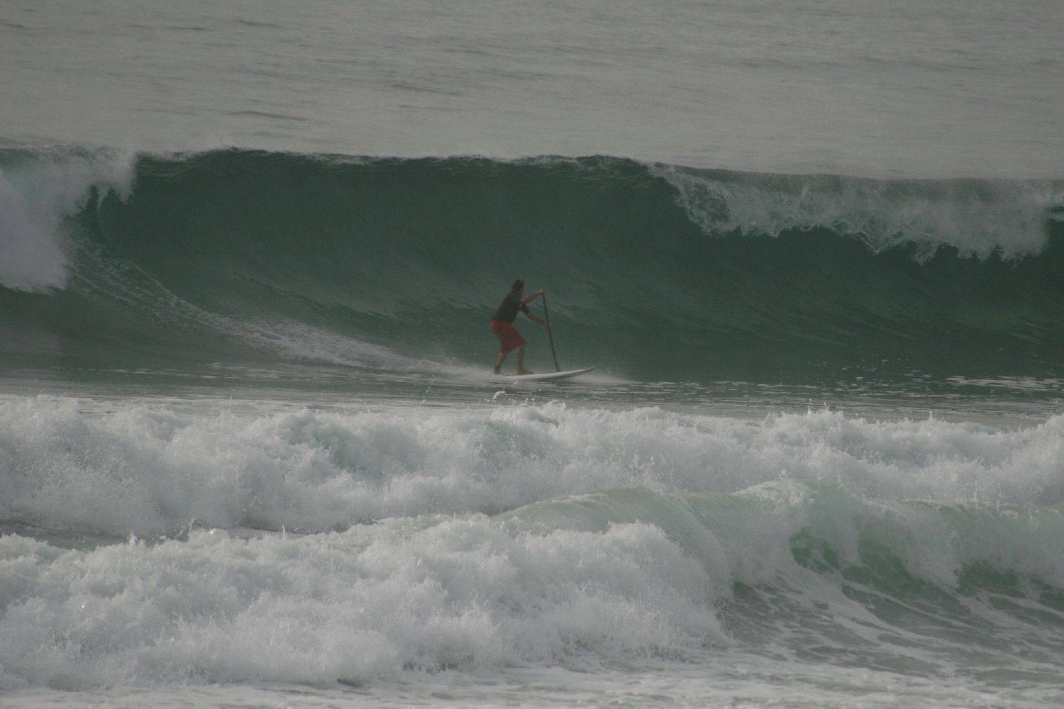 Main Sup Jan 2011 052