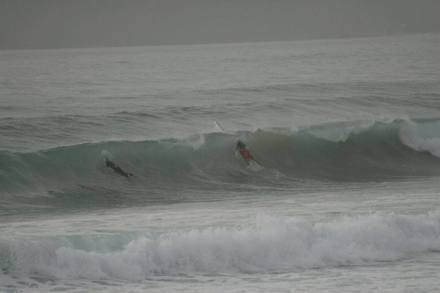 Main Sup Jan 2011 096