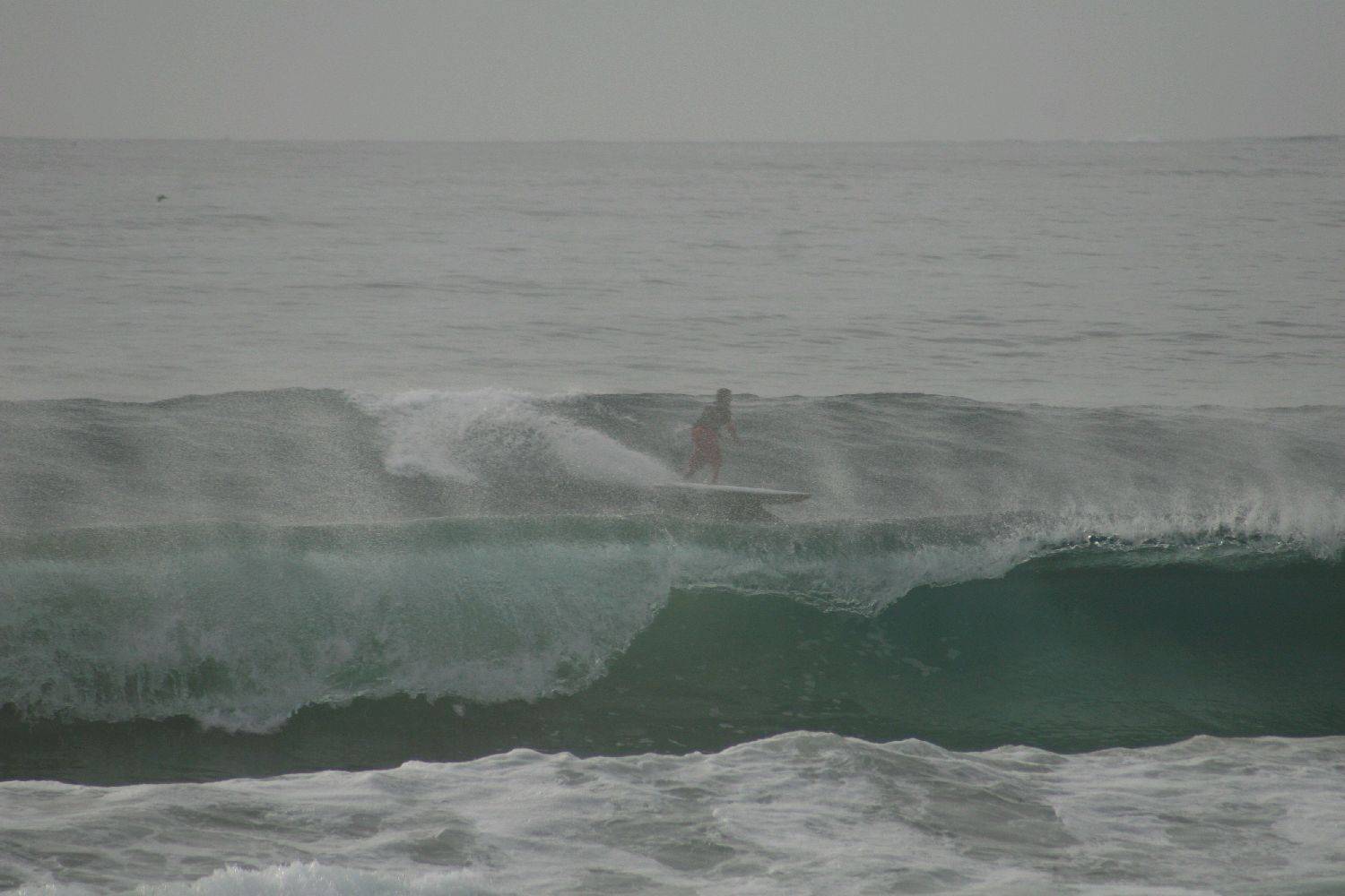 Main Sup Jan 2011 024