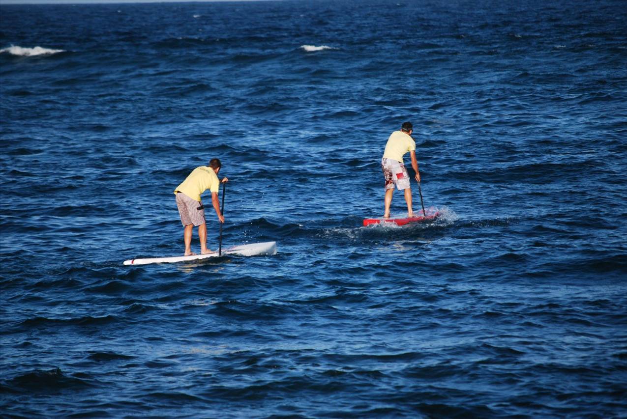 heres a few from the bombathon