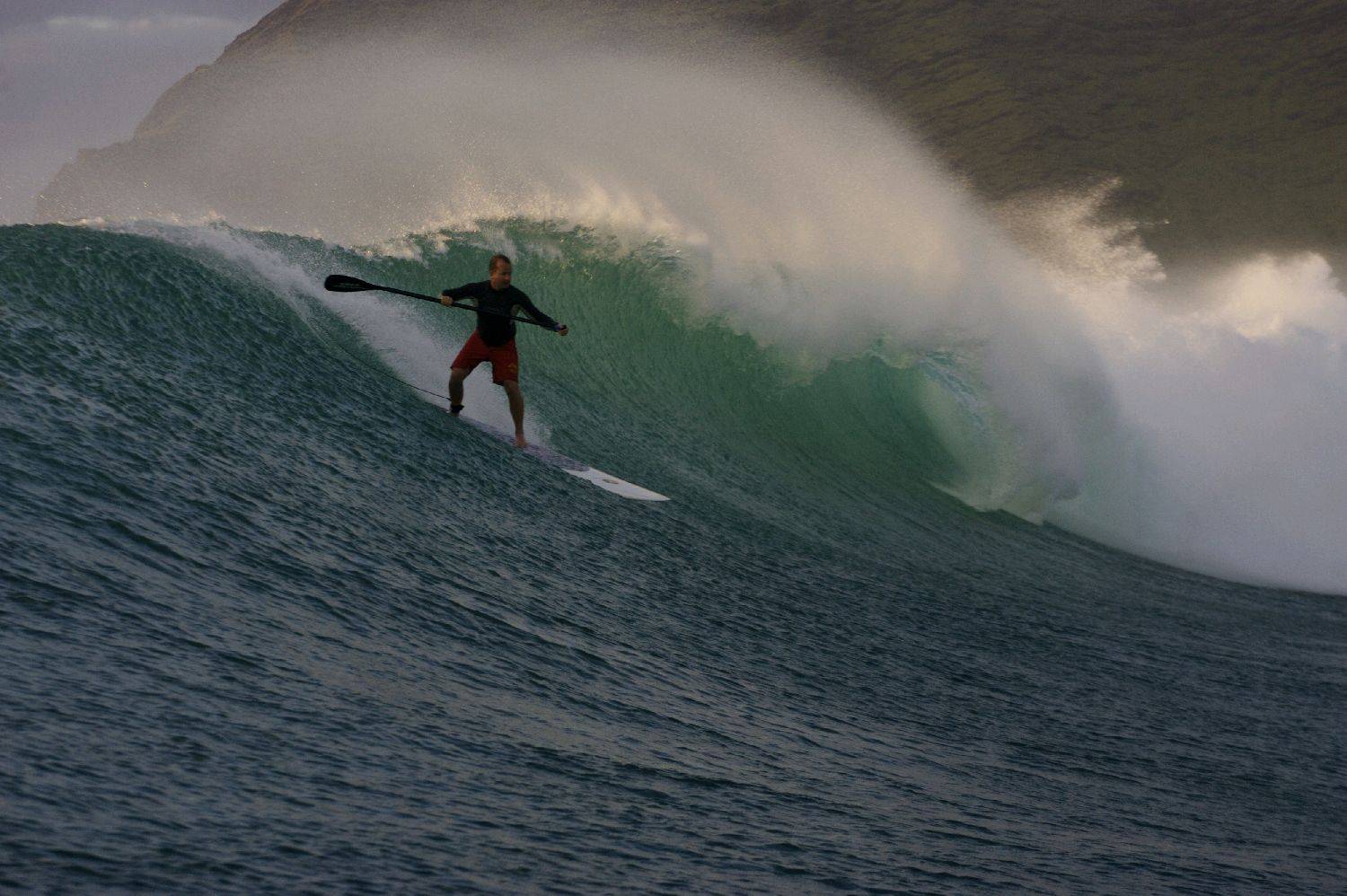 c)mozophoto08HG7M1811