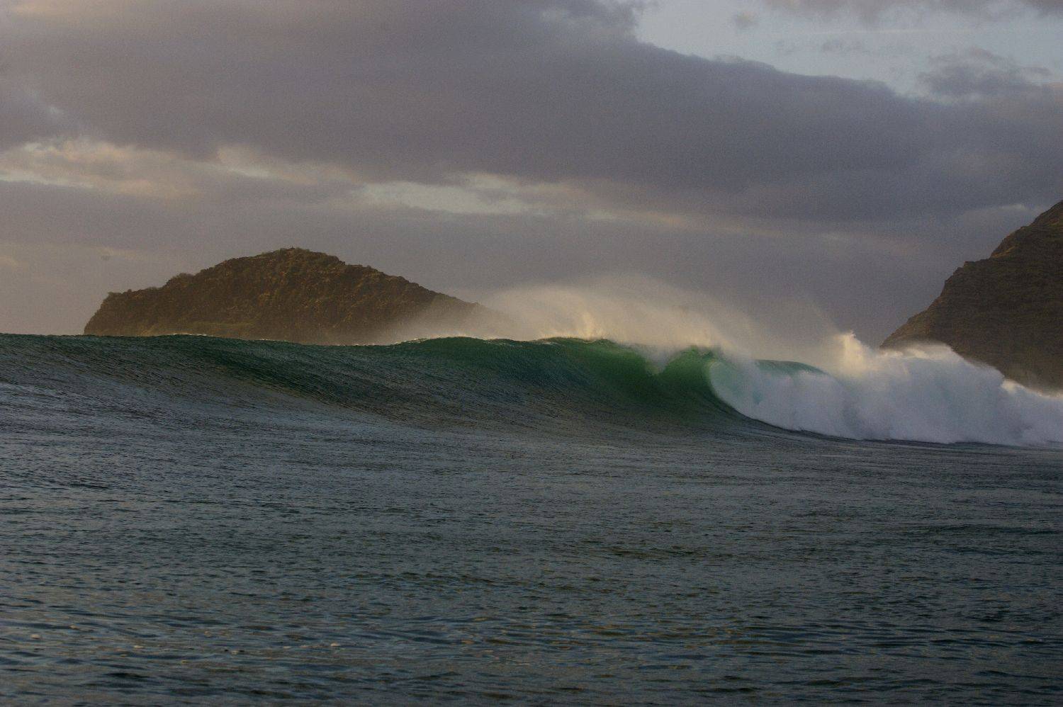 c)mozophoto08HG7M1803