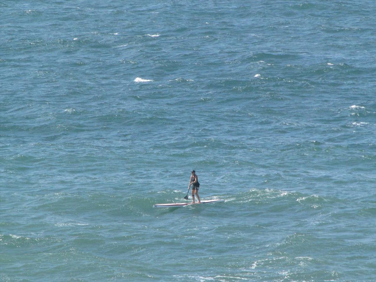 Moffat to Mooloolaba paddle back