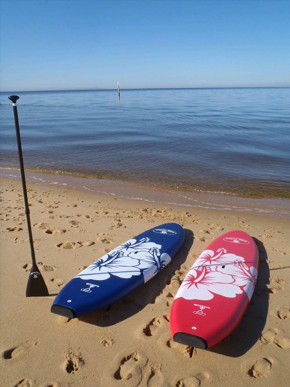 Sunny King 10'6" Soft Top