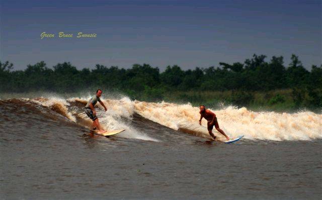 Fab David SensedukRights.jpg