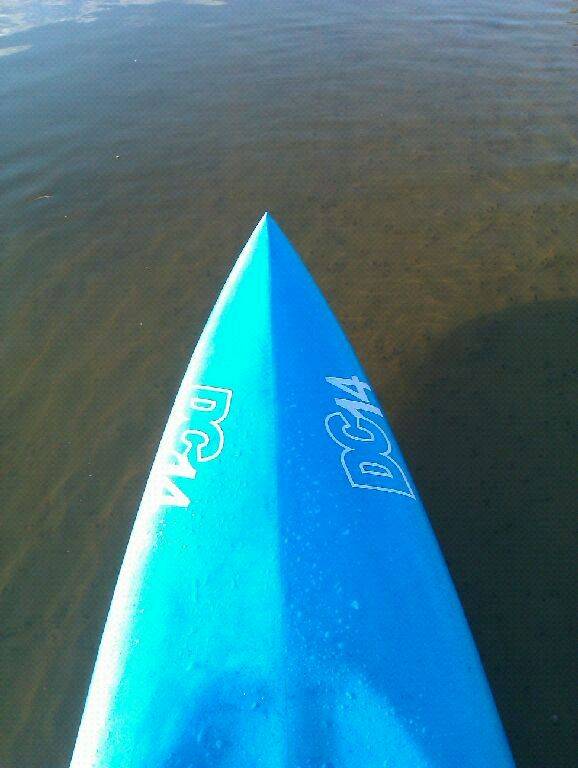 !cid 100MEDIA IMAG0087