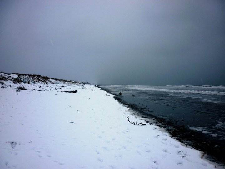 283369 10150323180520802 658250801 9560533 2737997 n