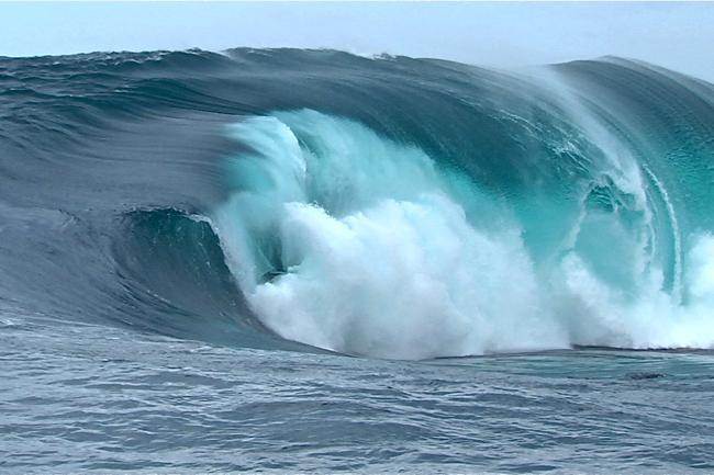 563559-mark-matthews