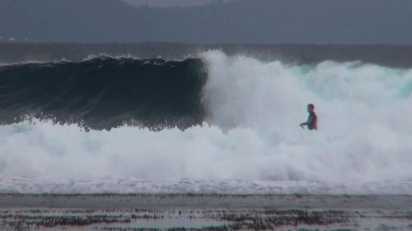 Wave that snapped the leggy