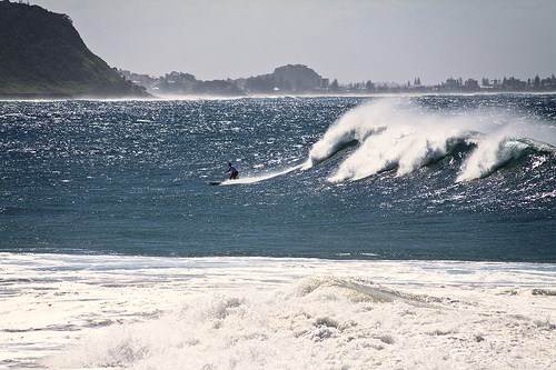 3392013008 c722b8bf91