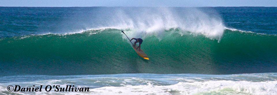 dogman mega drop bb 2011 yellow board