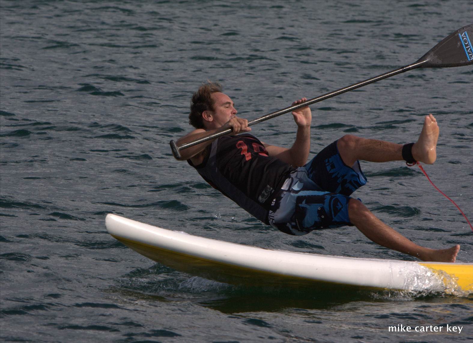 cruise to the cerberus