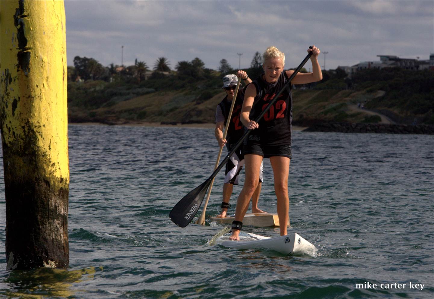 cruise to the cerberus