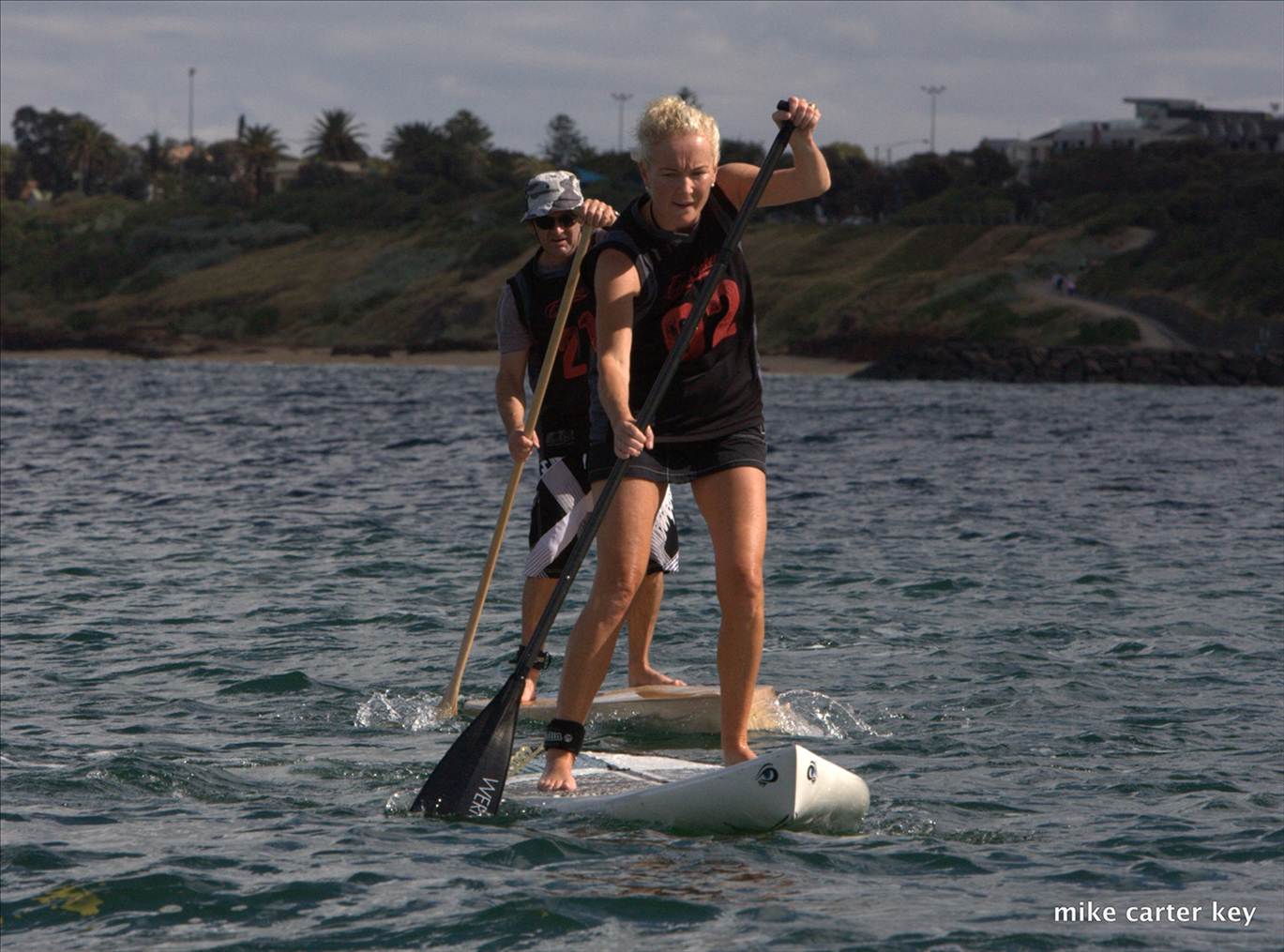 cruise to the cerberus