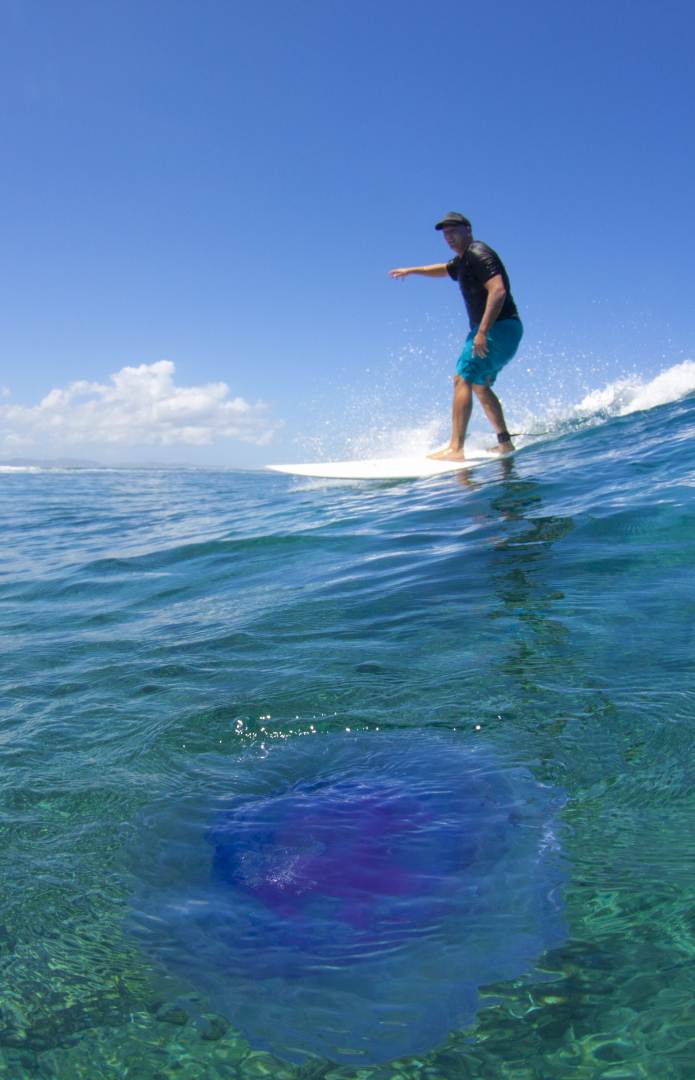 Fiji March 2012 (16)