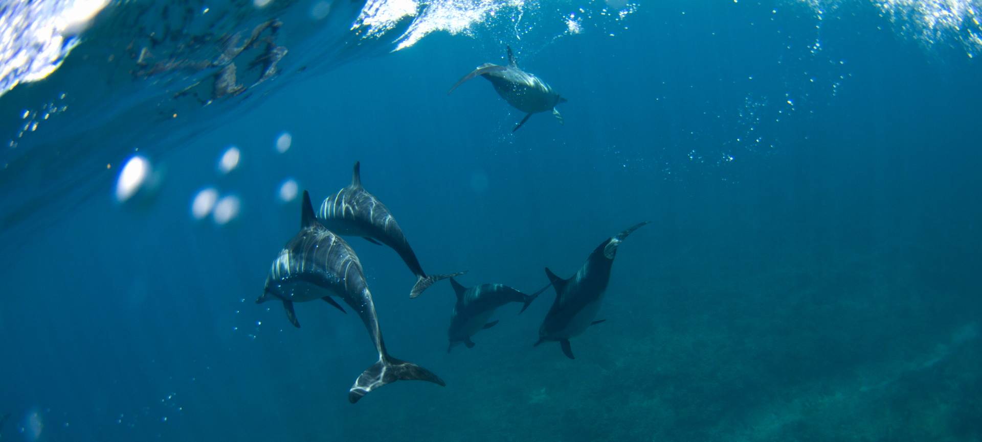 Fiji March 2012 (28)