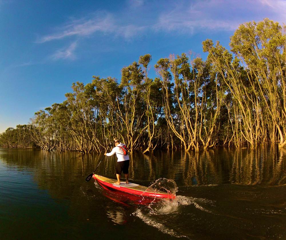 14 x 30 TOURING wood - STARBOARD