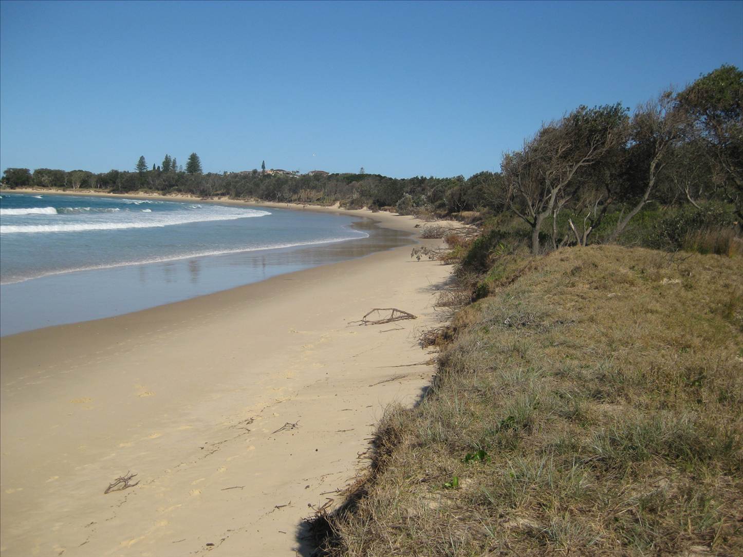 Scotts Head signs 018